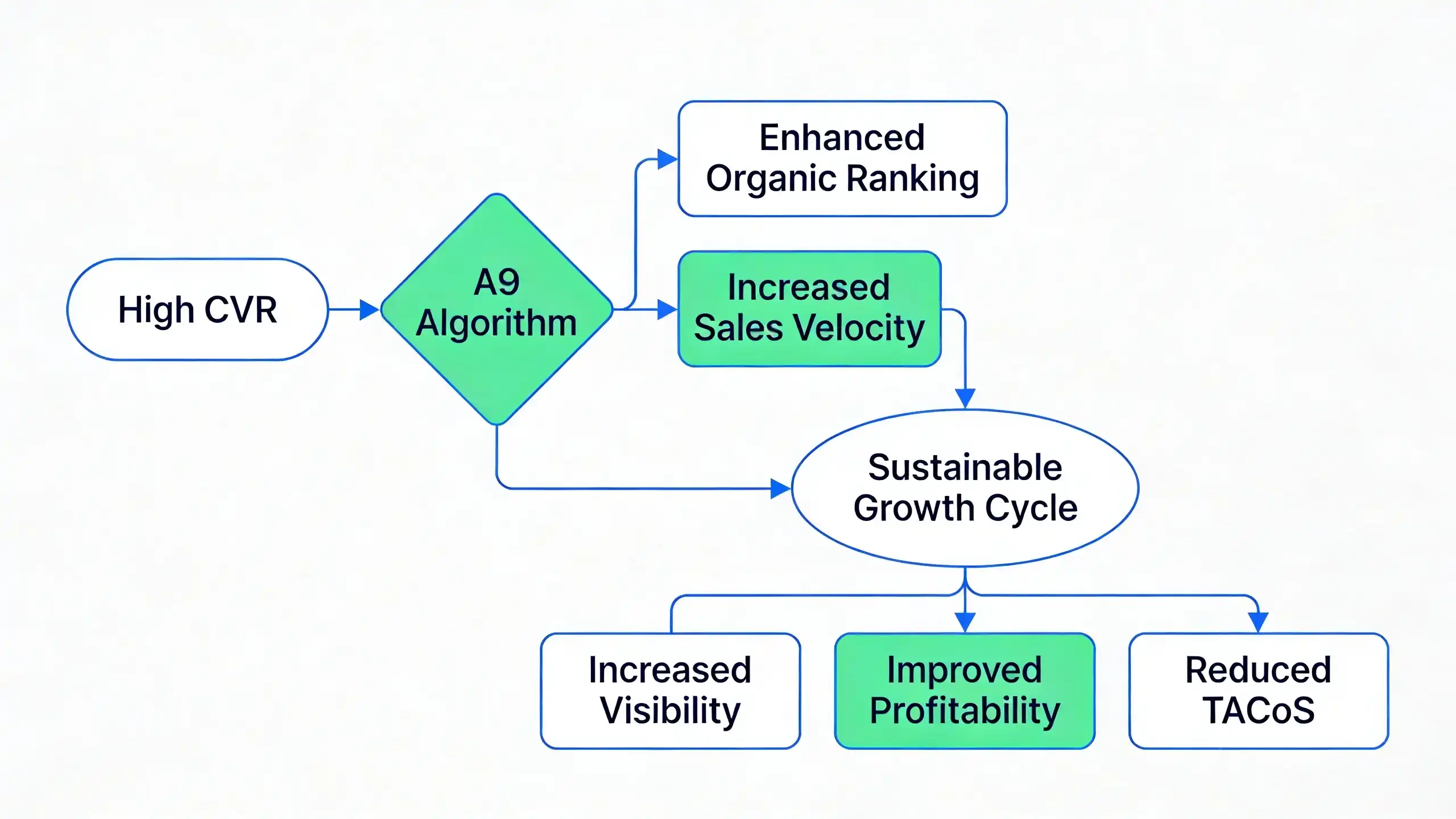 section_3